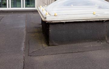 disadvantages of Shinners Bridge flat roofs